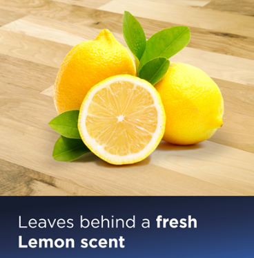 Genuine Original Bissell Wood Floor Formula Cleaning Solution (1L)