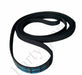 Hotpoint Indesit Tumble Dryer Belt Genuine Contitech 144002145 6PHE 1991 - bartyspares